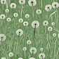 lawn with dandelions.jpg